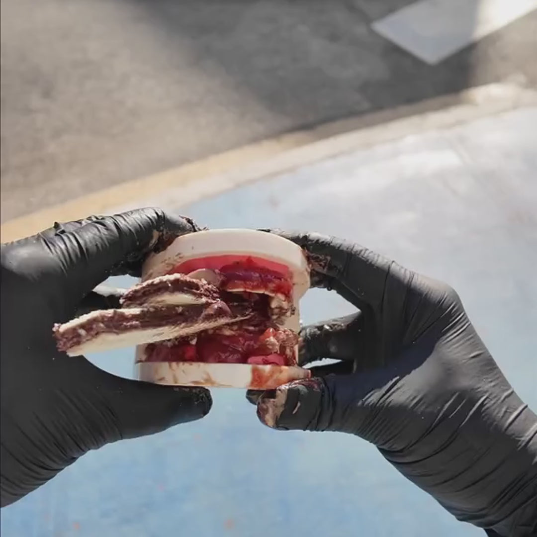 RIGHT-TOOTH™ - Dentora Heads